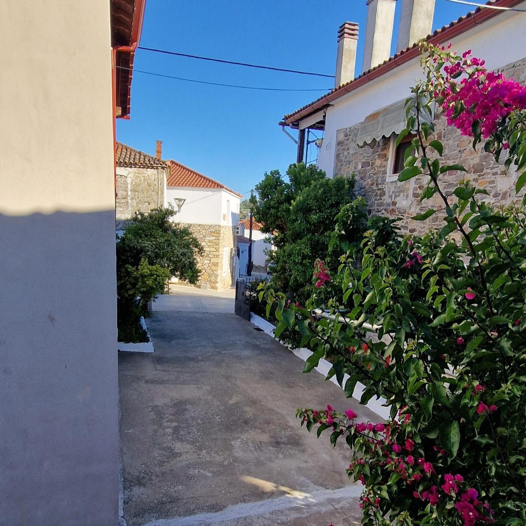 Nikolaos House Apartment Агиос Николаос Екстериор снимка