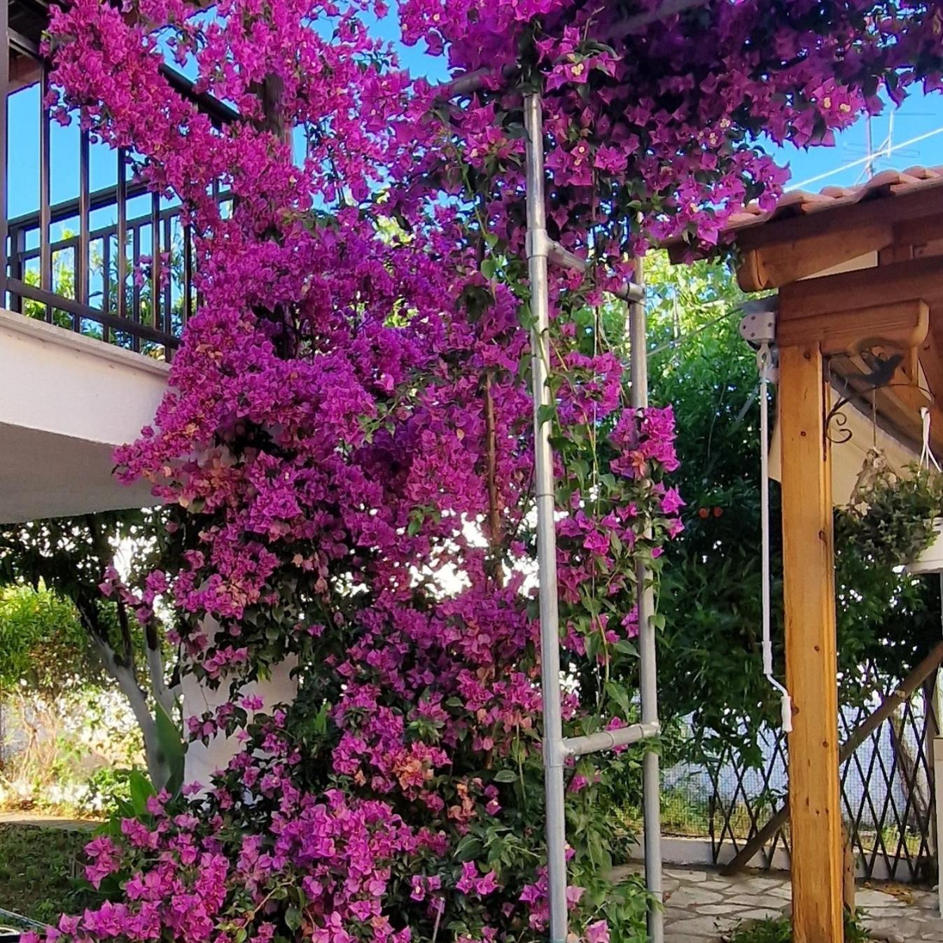 Nikolaos House Apartment Агиос Николаос Екстериор снимка