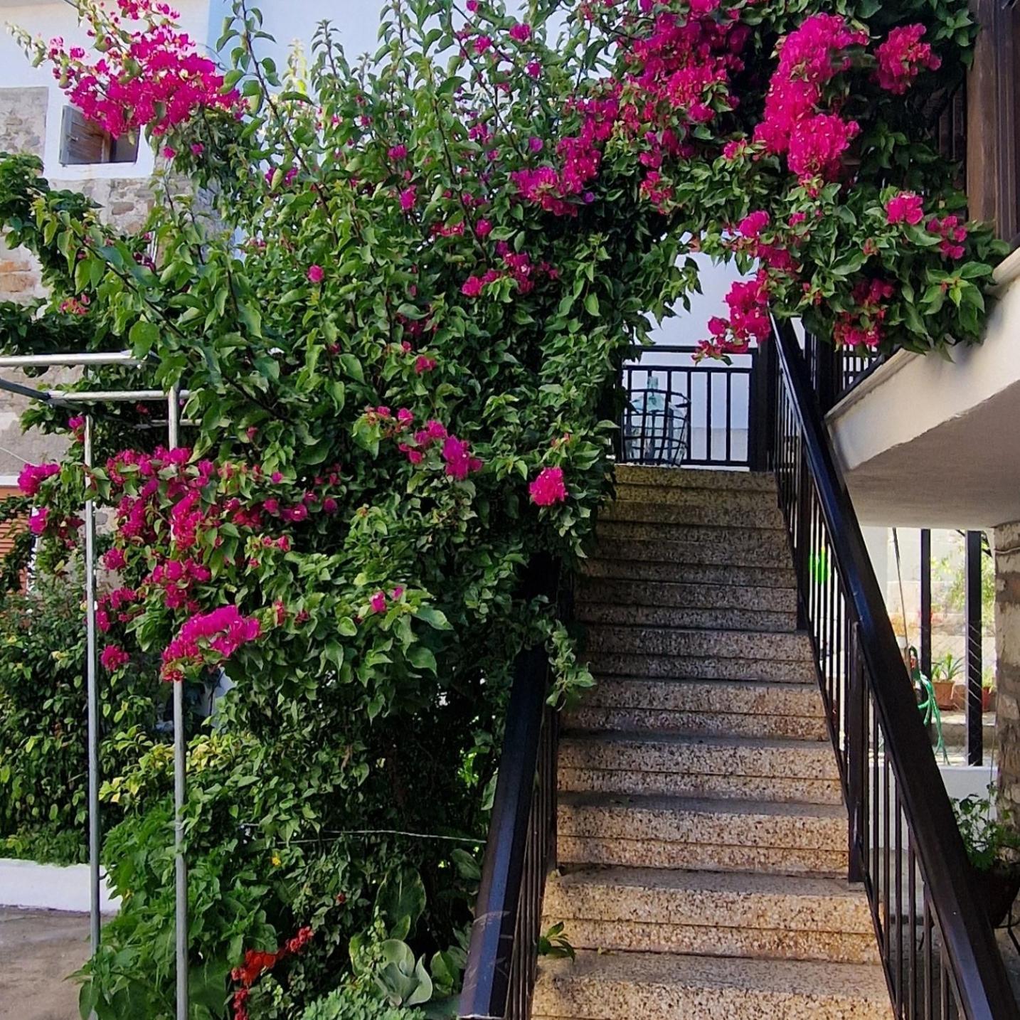 Nikolaos House Apartment Агиос Николаос Екстериор снимка